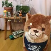 はるの画像