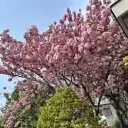プロフ必読の画像