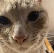 みの画像