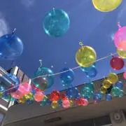 もちこの画像