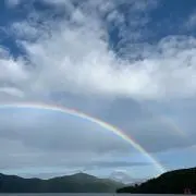 エダの画像