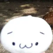 ゆっちの画像