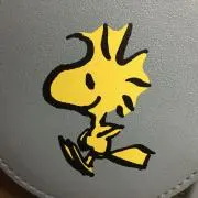 vageの画像