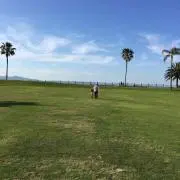 りりり