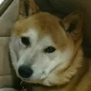 ☆はっちゃん(*^^*)☆