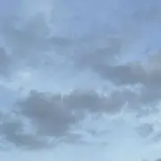 おいなりの画像