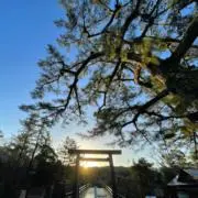 安心君