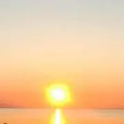TANの画像