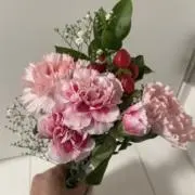 ひかあさママの画像