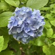 優鈴 プロフ必読の画像