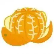 ぶんたん ⚠️引越作業為 断捨離中⚠️の画像