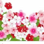 いち☆プロフ必読でお願いします！の画像