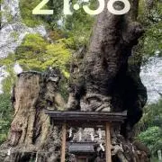 ふろいどの画像