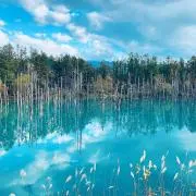 にゃん【匿名配送】の画像