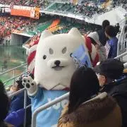 Izuminの画像