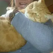 Riik