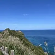 neaunの画像
