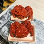 ポリゴン