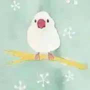 こなの画像