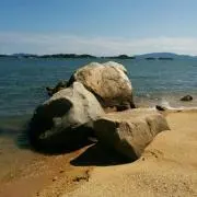 福