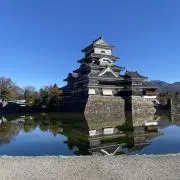 鷹の画像