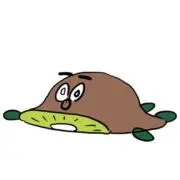 すーちゃんの画像