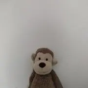 気まぐれSALE中♥️yu...mamの画像