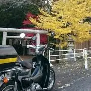 吾七