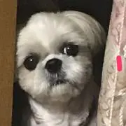 ヒメカ♥断捨離中∞在庫確認お願い致しますの画像