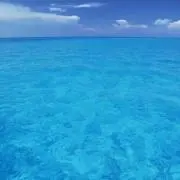 リョウ