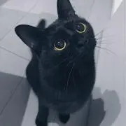 ごま