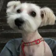 むっちゃん