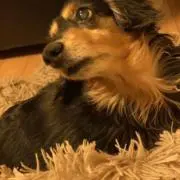 ゆう