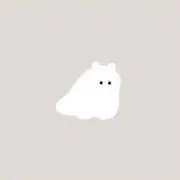 sariの画像