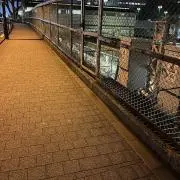 うじじじの画像