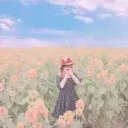 sの画像