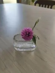 とまてぃーなの画像