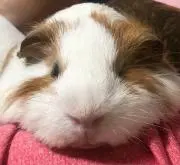 みよっち
