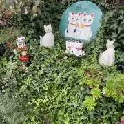あーちゃむの画像