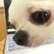 しょこら  ☆プロフ必読☆