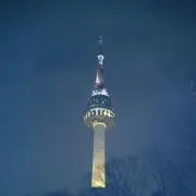 すずの画像
