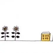 toaの画像