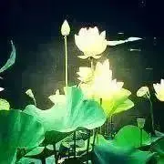 まぁ☆プロフ必読☆