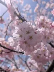 2*36の画像