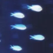 金欠学生