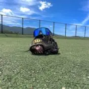の〜む