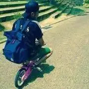 gorilla5
