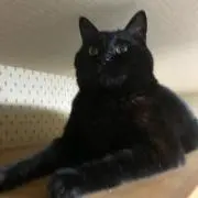 ダリくんママ★