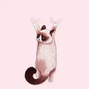 のん
