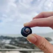 ラッキーの画像